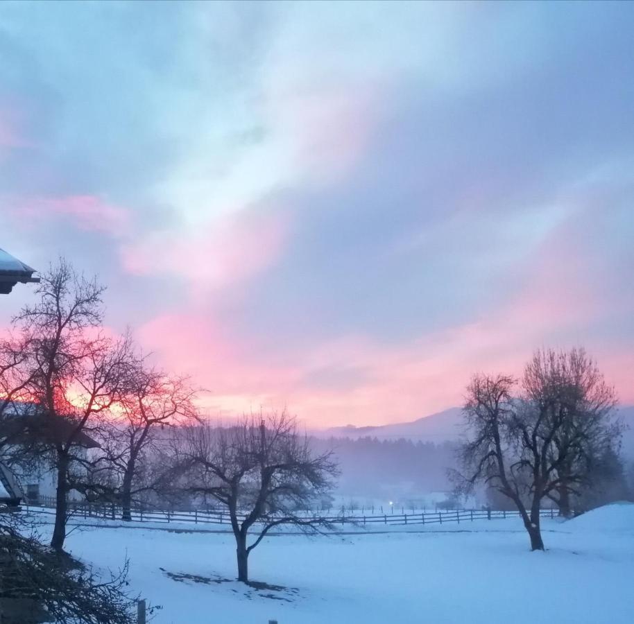 Fewo Fabiella Mit Balkon Millstatt Kültér fotó